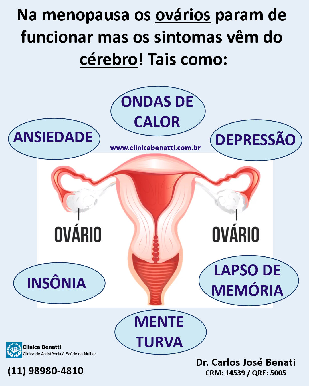 Menopausa: Os Ovários param, mas o Cérebro sente!